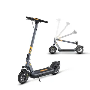 Self Balancing Fat Tires 2 Wheel Adult Off Road 10 Inch Fold Electric Scooter