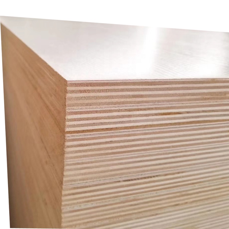 Hạt gỗ 0.6 mét laminate HPL ván ép tấm, Ván ép với HPL 8'x4' 18 mét dày