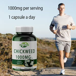 OEM/ODM kapsul chicweed | 1,000mg | 120 hitungan | Non-gmo, ekstrak bebas Gluten | Suplemen Herbal, dukungan imun - Product Image 4