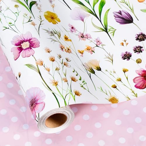 Flowers - Daisy