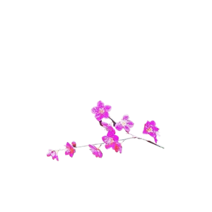 Panel LED Transparente y Flexible para Pantallas de Vidrio, Módulos de Animación Gráfica para Centros Comerciales, Tiendas Minoristas y Pantallas de Video - Product Image 1