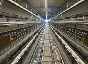 Kaynaklı Tel Kuluçka Kafesi İstiflenebilir Çok Katmanlı Yumurta Döndürme Fileli Ev Yetiştirme Kafesi Kaynaklı - Product Image 4