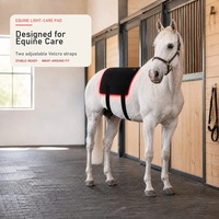 Coussin lumineux LED à double longueur d'onde pour le dos des chevaux, batterie intégrée 3,7 V, charge Type-C, 900x700 mm