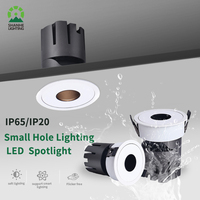 Downlight professionnel en aluminium, lampe COB à trou rond, réglable, étanche IP65, encastré sans cadre, projecteur LED pour hôtel