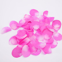 Canon à confettis de pétales de rose pour mariage, lanceur de fleurs artificielles pour cérémonie, fête, événement, décoration