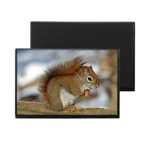 Pantalla LCD IPS de 1280x800, pantalla LCD LVDS de 10,1 pulgadas, 40 Pines, TFT de 10 pulgadas