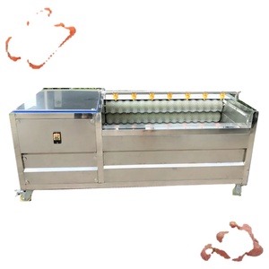 commercial Fruit Vegetable Cleaner Machine Potato Ginger carrot onion seafood Roller Brush Cleaning Washing Peeling Machine