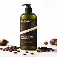 Shampoo à l'huile de ricin et à la caféine en marque privée pour la croissance des cheveux, sans sulfate, formule personnalisée, vente en gros de produits capillaires en vrac, OEM ODM
