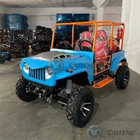 Caiteng Mini Jeep 4x4 à grande vitesse 300cc/350cc/500cc essence/électrique, Buggy de plage, Buggy des dunes, Transmission automatique, Garantie 2 ans