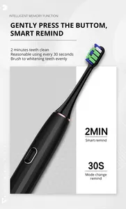 Brosse à dents électrique à poils souples avec logo de luxe Smart Sonic écologique Meilleure vente en gros de Chine chinoise