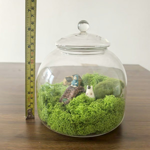 Tự làm cảnh quan thủy tinh container với nắp cho Tabletop rêu hoa hiển thị nhà vườn trung tâm hồ cạn - Product Image 6