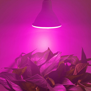 Dimmable 12W/15W/18W cao <span class=keywords><strong>Par</strong></span> dẫn phát triển bóng đèn COB quang phổ đầy đủ cho canh tác trong nhà và làm vườn chiếu sáng - Product Image 4