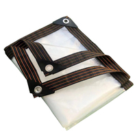 Bâche imperméable en tissu brocart pour extérieur 2 x 2 m, protection transparente contre la pluie pour toit de serre avec œillets