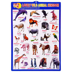 Poster educativi per bambini di alta qualità uso scolastico in PVC <span class=keywords><strong>3D</strong></span> in rilievo da parete - Product Image 5