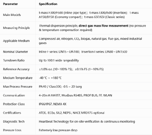 Débitmètre massique thermique Endress+Hauserr Proline T-mass / Technologie Heartbeat / Certifié SIL2 / 4~20mA HART 7 / IP66 / IP67 / NEMA 4X / PN40 - Product Image 4