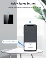 XZJ 1/2/3 Gang estándar de la UE WiFi Control remoto Tuya App Timer función perfecta inalámbrica Smart Home Switches