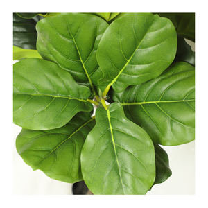 Commercio all'ingrosso <span class=keywords><strong>UV</strong></span> Indoor Outdoor piante di plastica di seta decorativa di alta qualità grande albero di fico foglia di violino verde artificiale finto