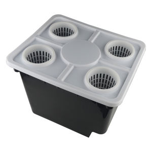 Kerui-système de culture hydroponique <span class=keywords><strong>en</strong></span> plastique, MAXPOWER, pour bac néerlandais - Product Image 6