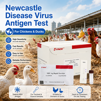 Kit de test antigénique rapide et portable pour le virus de la maladie de Newcastle et l'influenza aviaire, résultats sur site chez la volaille et les poulets