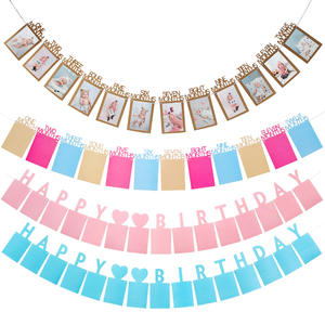 DAMAI 1er cumpleaños foto Banner para bebé de recién nacido a 12 meses Primer Cumpleaños mensual hitos guirnalda decoración niño o niña - Product Image 6
