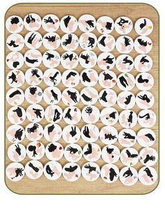 Jeu de correspondance des ombres des mains Montessori, cartes de silhouettes d'animaux, jouet éducatif de discrimination visuelle pour les tout-petits - Product Image 5