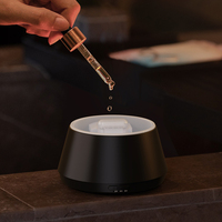 Diffuseur d'arômes intelligent, produit neuf 2025, directement de l'usine, programmable, ultra-silencieux, alimenté par USB, lumières colorées, portable, pour la maison et l'hôtel