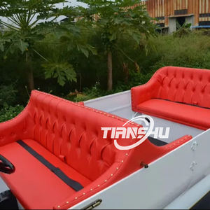 <span class=keywords><strong>TS</strong></span> Eye Catching Bus et voiture de tourisme électrique 5000W - Product Image 5