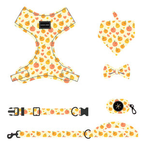 Collares y Correas para Perros de Poliéster con Diseño de Dibujos Animados, Venta al Por Mayor 2025, Impresión de Logotipo Personalizado, Juego Personalizado - Product Image 3