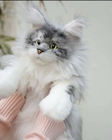 Sac à dos en peluche chat mignon personnalisé, sac d'école en peluche doux, léger, OEM ODM, vente en gros d'usine