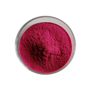 factory supplier organic and natural beetroot extract powder