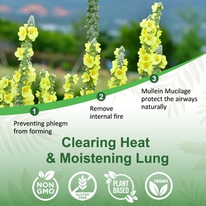 Thé pour les poumons à la marque privée Chinaherbs pour les fumeurs, extrait de feuilles de molène, nettoie naturellement la respiration, santé pulmonaire, thé aux herbes pour nettoyer les poumons - Product Image 6