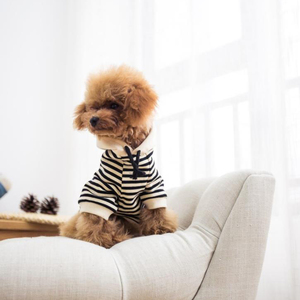 Ropa de Invierno para <span class=keywords><strong>Perros</strong></span> Pequeños/Cachorros, Acolchada de Terciopelo de Fibra de Poliéster, Venta al Por Mayor de Fábrica - Product Image 2
