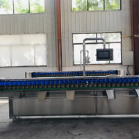 Volautomatische Jujube En Dadels Vruchtensap Siroop Verwerkingslijn Apple Sorteerder Groente Sorteermachine Voor Aardappel