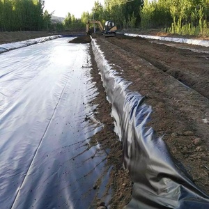แผ่นใยสังเคราะห์ HDPE สีดำ/น้ำเงิน สำหรับบ่อเลี้ยงสัตว์น้ำ/บ่อเพาะเลี้ยงสัตว์น้ำ/บ่อเกษตรกรรม หนา 1 มม. ราคาโรงงานที่ดีที่สุด - Product Image 6