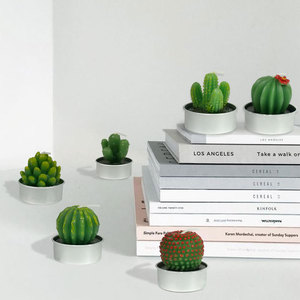 Bougies chauffe-plat Cactus Coffret cadeau <span class=keywords><strong>Bougie</strong></span> en forme de plante succulente mignonne faite à la main sans fumée pour la fête - Product Image 4