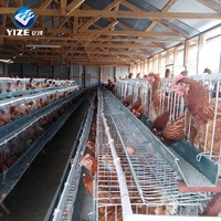 Conception de Bâtiment d'Élevage Avicole Cages à Poules Pondeuses en Vente