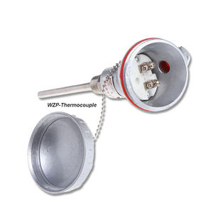 温度センサー<span class=keywords><strong>WZP</strong></span> <span class=keywords><strong>Pt100</strong></span>温度センサー<span class=keywords><strong>Rtd</strong></span>熱電対ベアワイヤー装甲熱電対ヘッド抵抗温度計 - Product Image 1