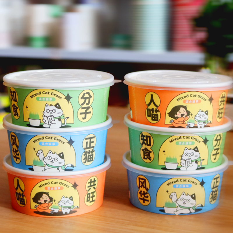 Custom Disposable Fast Food Container Lid Reusable Paper Plate Bowls for Noodle Pasta Porridge Soup Takeaway Box Cookie Snack