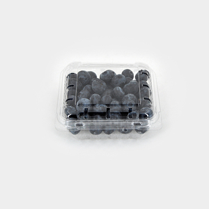 125g/185g/250g arándano frambuesa transparente desechable PET Clamshell contenedor plástico frutas <span class=keywords><strong>cajas</strong></span> de embalaje - Product Image 1