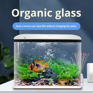 Goudvis Tank Met Filter Stock Tank Glazen Aquarium Aquarium Met Led Licht Vis Aquarium Voor Thuis - Product Image 2