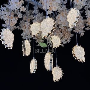 โคมไฟระย้าขนาด<span class=keywords><strong>เล็ก</strong></span>10หัวติดเพดานสำหรับโรงแรมหรือบนเวทีใช้ในงานแต่งงานโคมไฟระย้าคริสตัลหรูหราสำหรับเพดานสูง - Product Image 2