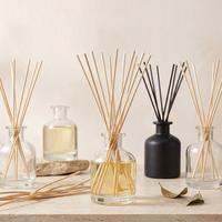 Meilleures ventes 50ml 100ml 150ml 250ml Bouteille de diffuseur de luxe vide Bouteille de diffuseur vide Diffuseur d'air pour voiture Bouteille de diffuseur pour huile