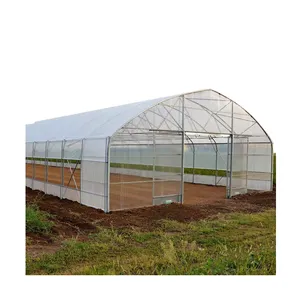 Agriculture single-span film greenhouse with Insect net covering system tunnel project