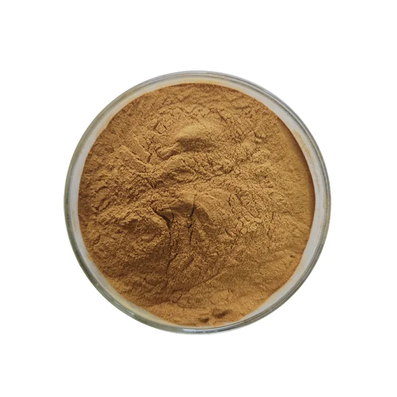 Top Quality Sapindus Mukurossi Peel Extract 70% Saponins Soapberry Powder