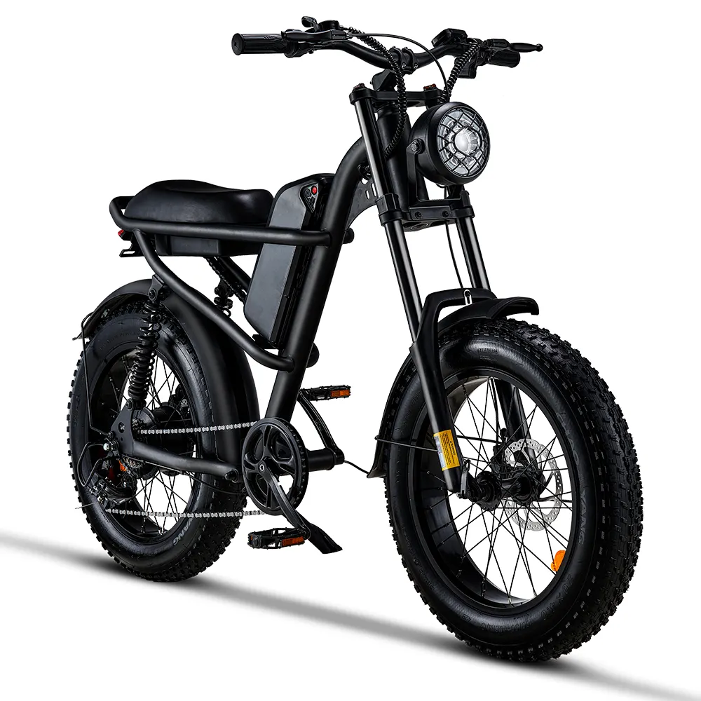 EU US Warehouse Electric Motorcycle Adult 48V 500W 750W Fastest E Motorbike 20 Inch Fat Tire Electric Dirt Bike