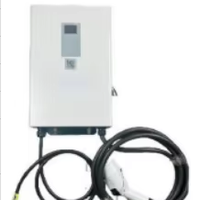 Cargador de Vehículos Eléctricos de 7KW CC, Montado en Pared, Carga Rápida OCPP, CCS2, CCS1, GBT, Certificado CE, IP65, Uso Comercial y Doméstico