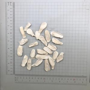 Günlük Yaşam Çayı ve Yiyecekleri Kurutulmuş <span class=keywords><strong>Yam</strong></span> Dilimleri Toptan Satış Shan Yao Kökü Çin Bitkisi Çin <span class=keywords><strong>Yam</strong></span>ı Dioscorea Opposita - Product Image 1