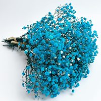120g de fleurs de gypsophile préservées, fleurs naturelles séchées pour la décoration de la maison et de mariage, fleurs immortelles véritables, support OEM