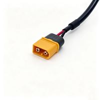 Connecteurs de chargeur de batterie personnalisés en usine Amass XT30 XT30U XT60 XT60U XT90 XT90S et T-Plug avec câbles d'alimentation/rallonges