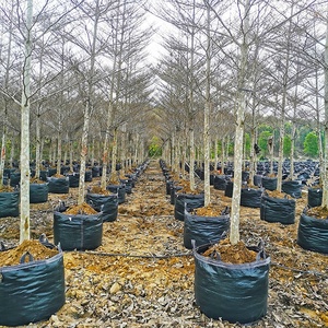 HOKBG vente en gros <span class=keywords><strong>pas</strong></span> <span class=keywords><strong>cher</strong></span> prix sac de culture pour <span class=keywords><strong>jardinière</strong></span> robuste Sacs de jardinage tissés avec poignées-Grobag, growbag - Product Image 3